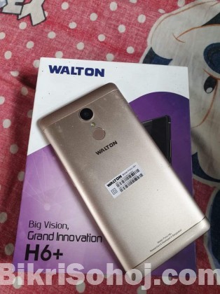 Walton H6+